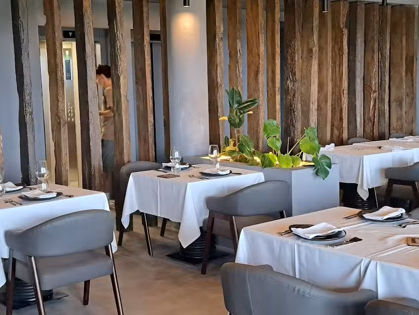 TERT&Uacute;LIA Gastronomia &ndash; NELAS