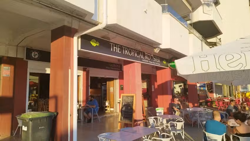 The Tropical Rooster