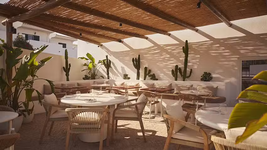 Trib&uuml; &ndash; Brunch & Bistro