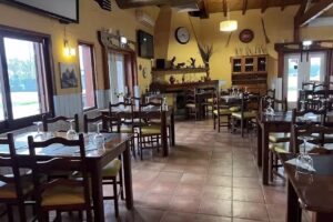 Vale da Telha &ndash; Jos&eacute; Manuel Rodrigues Orelha