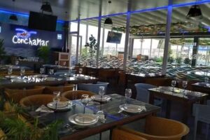 Viveiros Marisco Vivo Conchamar